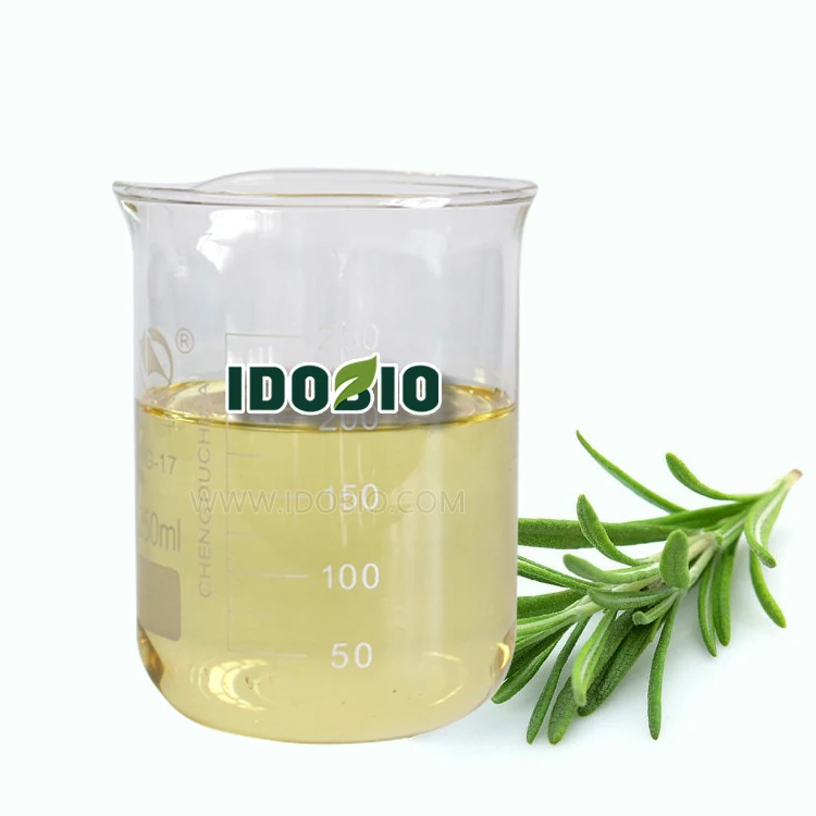 Aromatic Blumea Oil 100% Natural Blumea Oil IdoBio