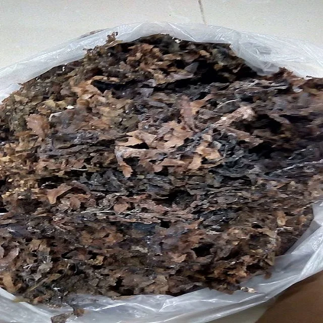 HOT HOT !!! SARGASSUM SEAWEED FROM VIETNAM WITH HIGH EXPORT STANDARD AND COMPETITIVE PRICE IN 2023