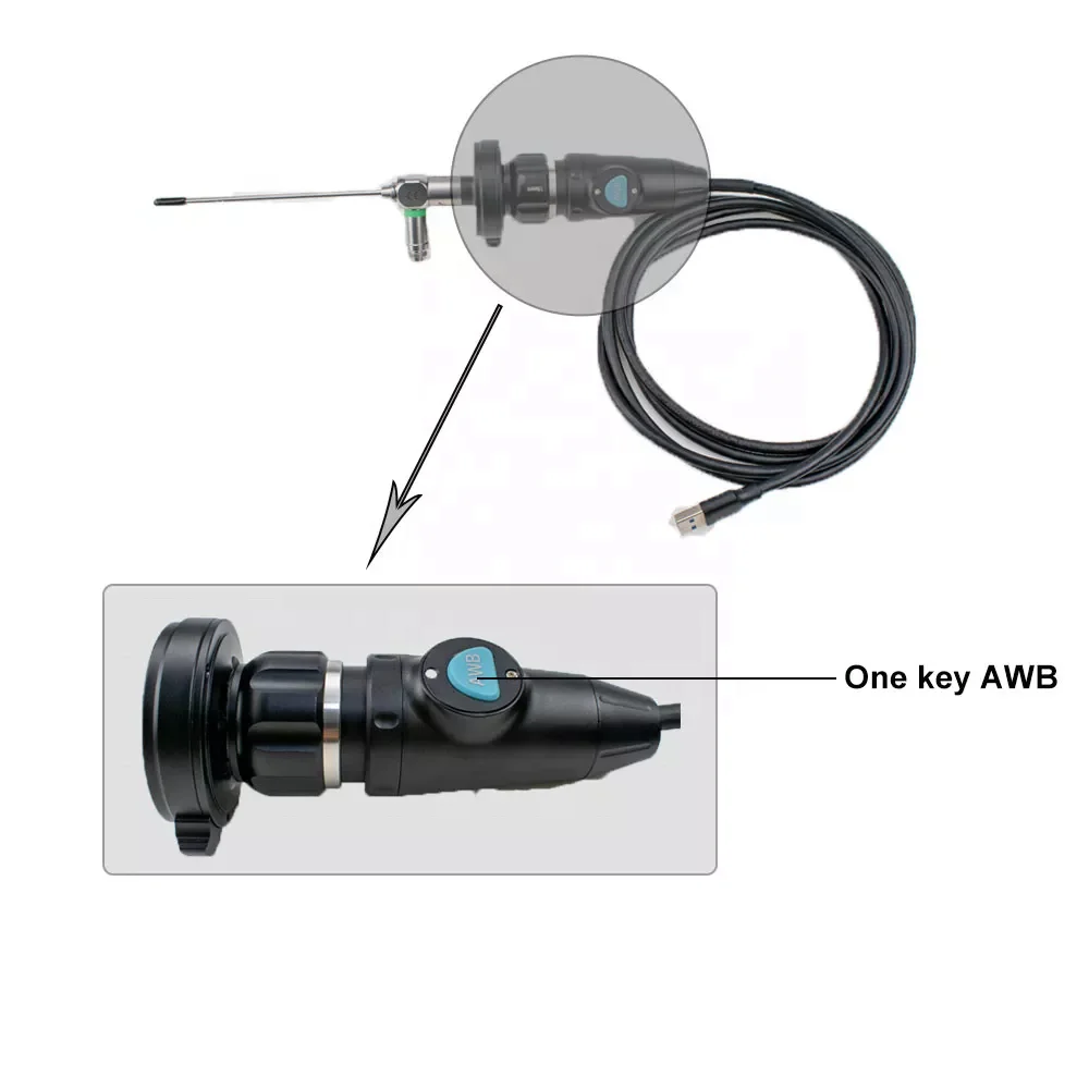 Surgical Portable USB Endoscope Camera Veterinary Clinic Equipment for Medical Animal Pet ENT