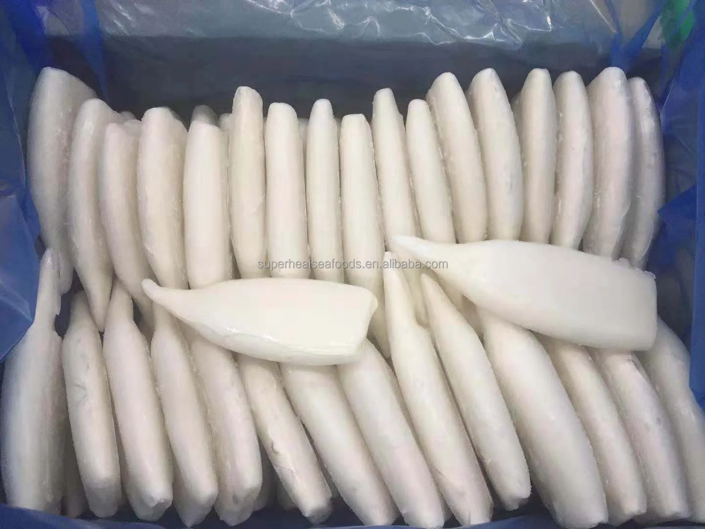 Fresh Whole Cleaned Calamari u5 u10 First Ring Frozen Gigas Squid Tube