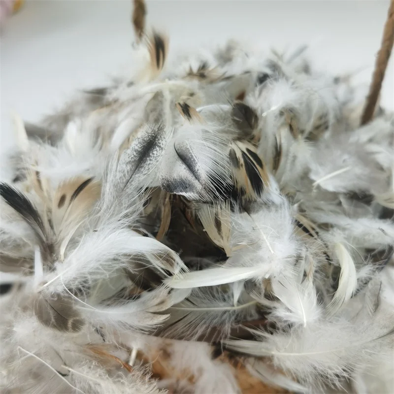 Highly Recommended Machine Washable Cheap Goose/Duck  Low Price White Pure Sticky  Feather