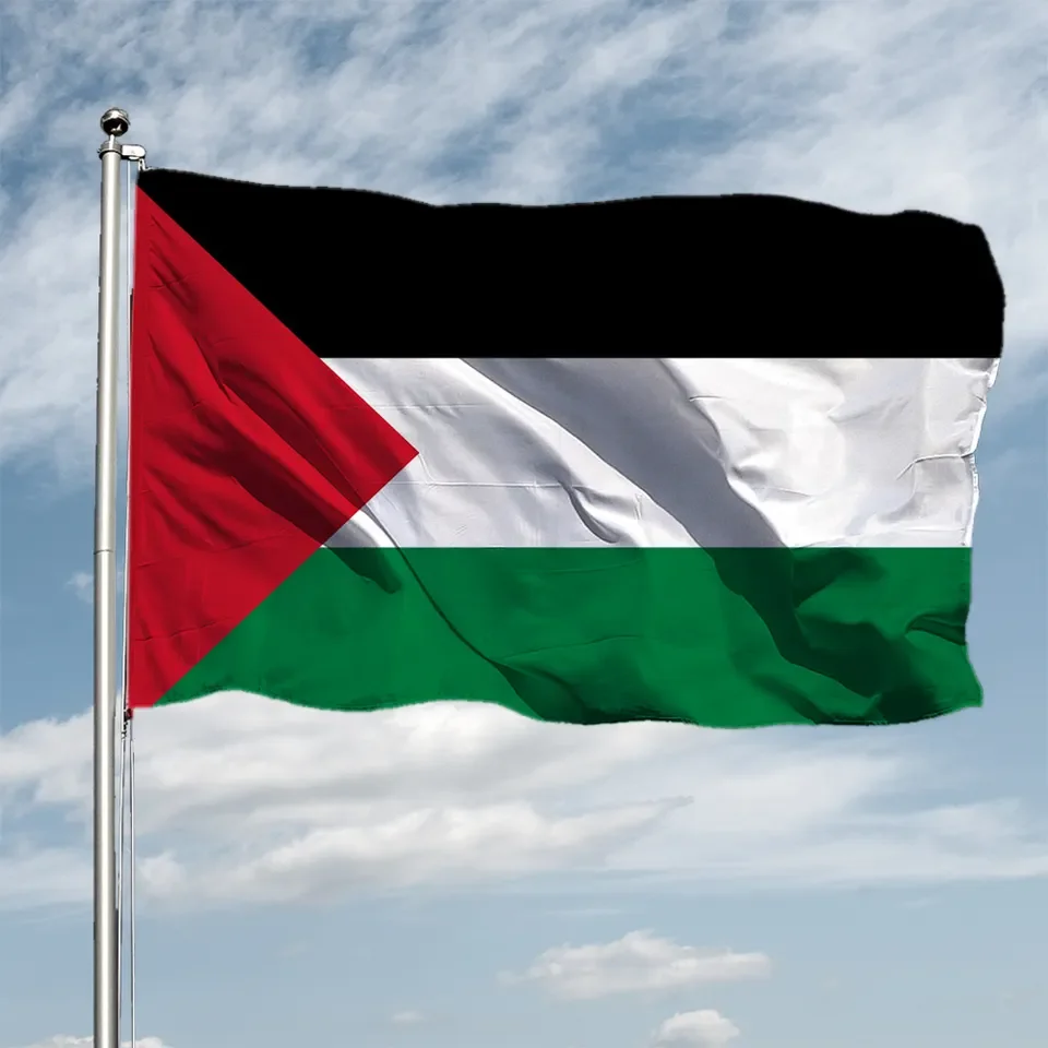 Custom Palestine Flag 3*5ft 90*150cm Palestine Country Flag for Promotion Advertising,palestine flag car