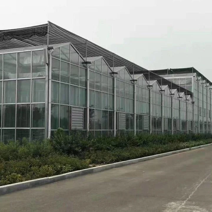
Venlo Glass Greenhouse greenhouses for agriculture hydroponic greenhouse systems 