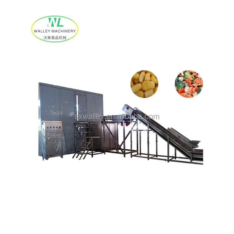 Hotsale Industrial Frozen Fruits and Vegetables Quick Freezing Line Okra Fast Freeze Equipment Rice Blast Freezing Machine