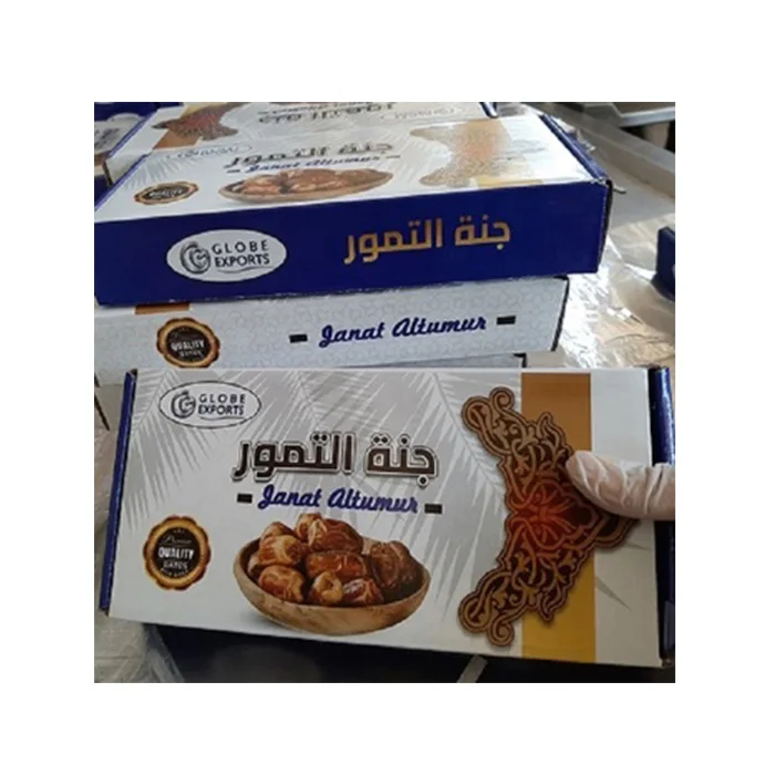 Semi dry Egyptian dates with pits