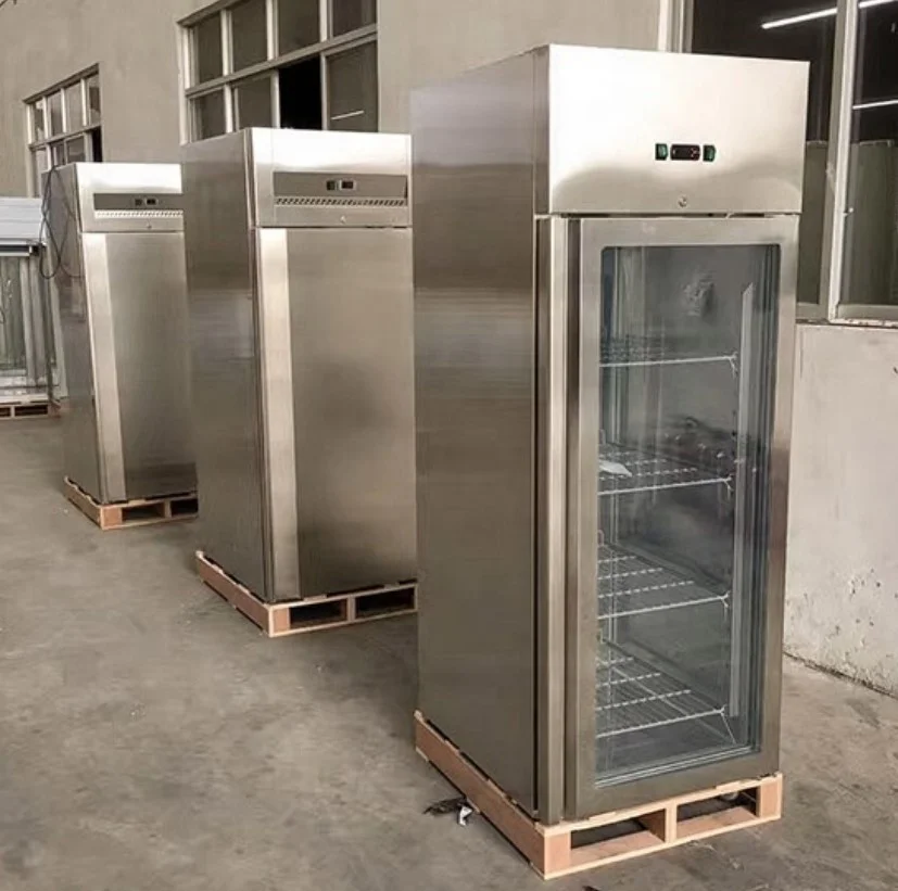 Profession Catering Refrigeration Equipment Single Door Kitchen Upright Freezer Stainless Steel Reach in Freezer