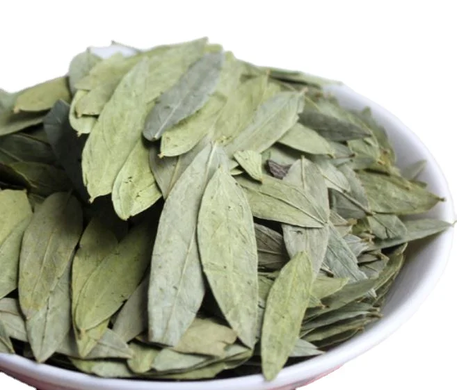 High quality raw Dried natural Indian Senna leaves