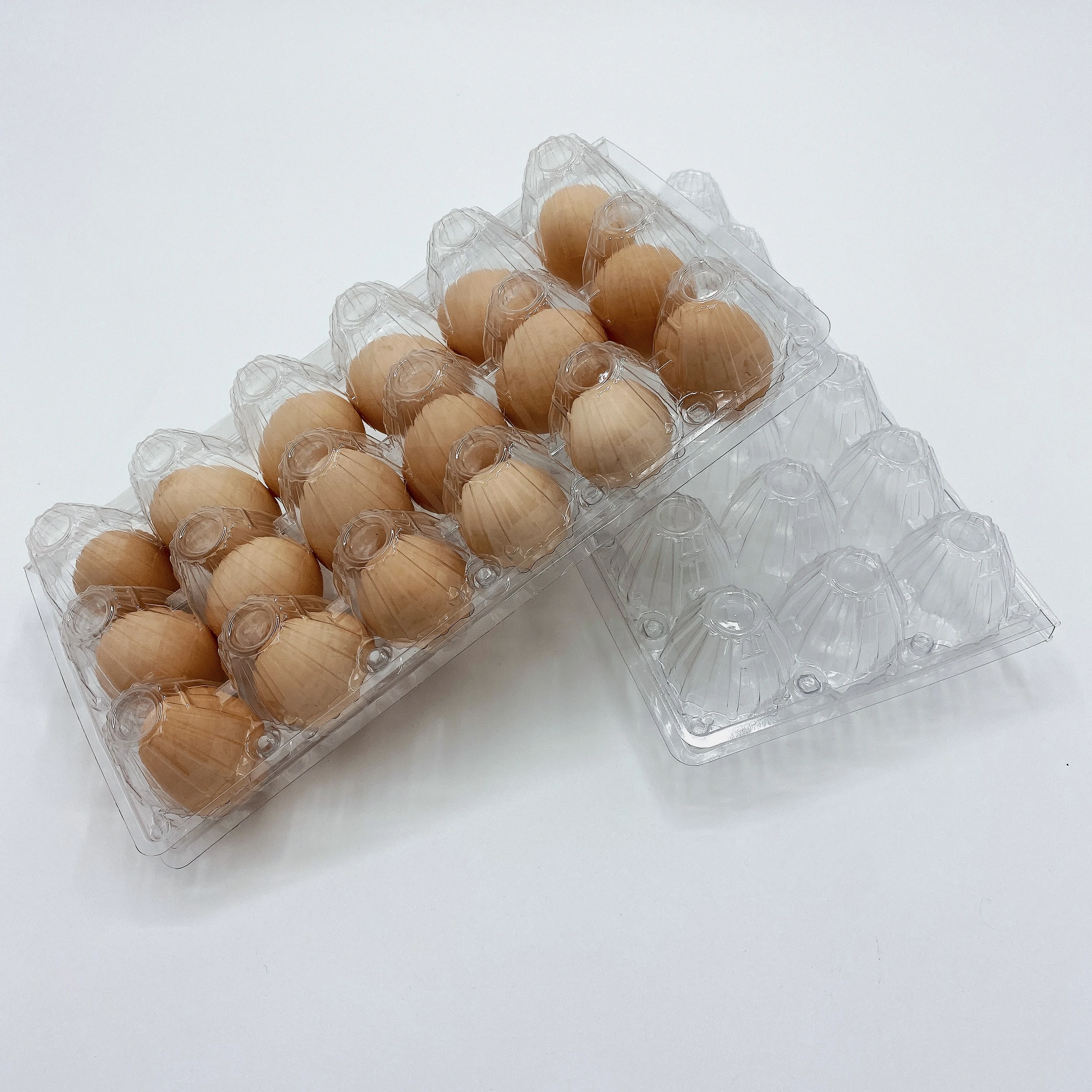 
Latest Design Clear Disposable Transparent Pvc Egg Trays Manufacturers 