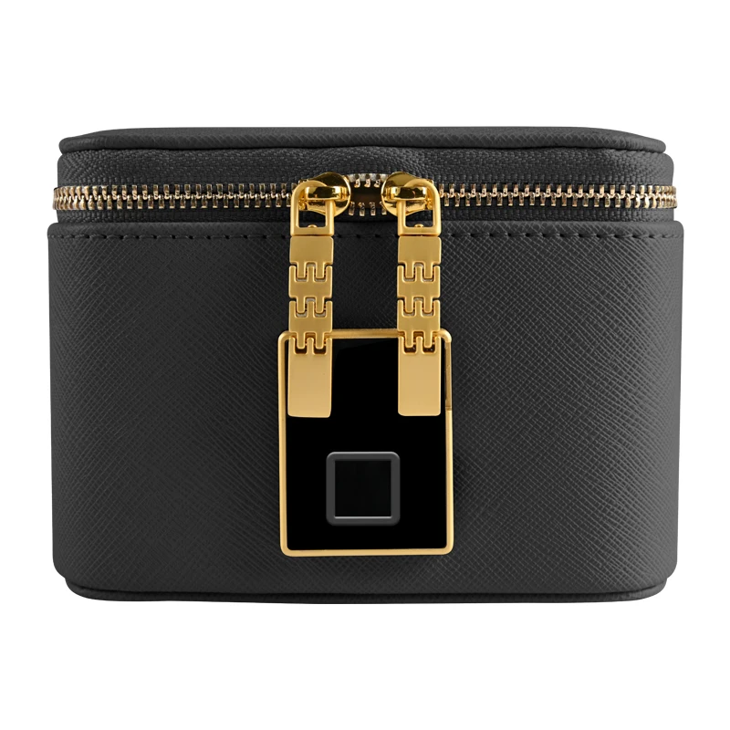 New Design Personalized jewelry Storage Box Faux Leather Travel Jewelry Organizer Case for value Jewel with Fingerprint lock