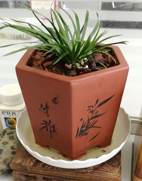 Creative New Traditional Ceramic Bonsai Pot, Chinese Yixing Bonsai Pot, Keramik flower pots planters, bonsai pots wholesalers
