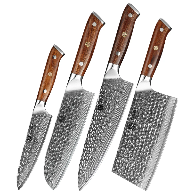 Knife Set Professional Kitchen Damascus Steel 4 PC 67 Layers Damascus Steel Daily Kitchen Cut Usage or Promotion Gift 60±2 HRC