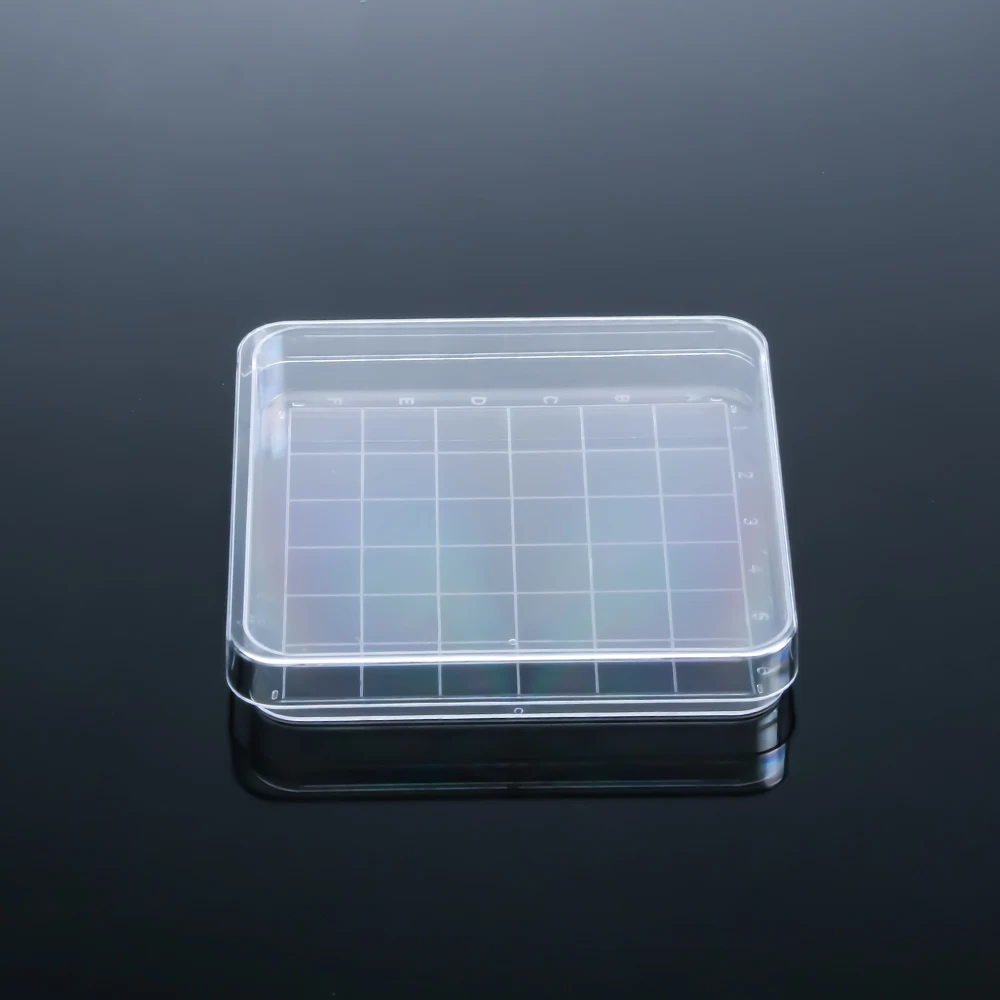 Square Cell Culture Dish Rectangular Tissue Culture Dish Disposable Petri Dish