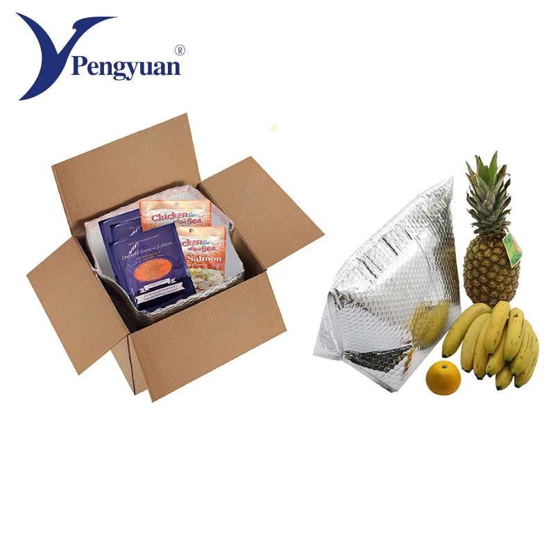 Disposable outdoor insulated cooler bags hot food transport