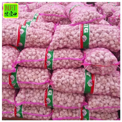 Hot sale  5.5cm Organic fresh natural garlic wholesale high quality 3p/5p small package China garlic export with GLOBAL GAP