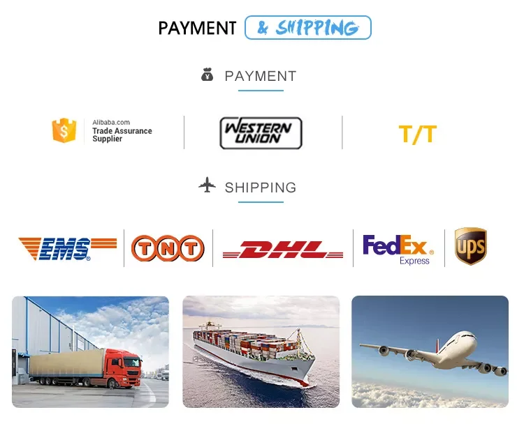 paste-pic-dp_uuid_e5ufi