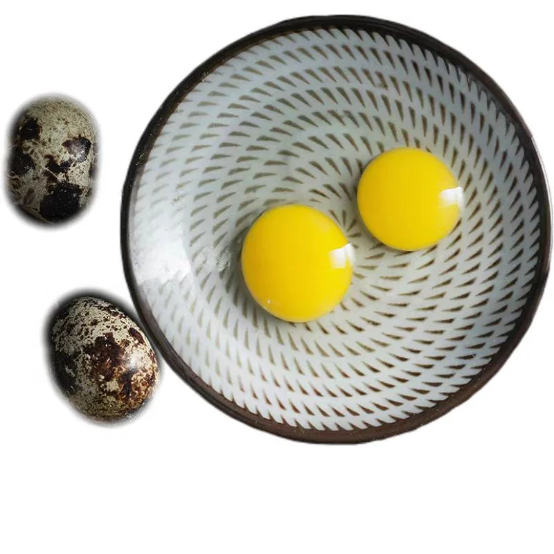 Quail egg yolk freeze-dried dog cat pet corgi teddy lecithin hair-beautifying snack canned food