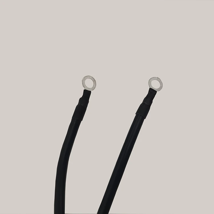 
Hot Selling Electric Gas Water Heater Ignition System Electronic Igniter 