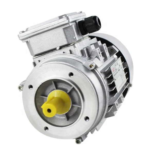 
three-phase induction motor 