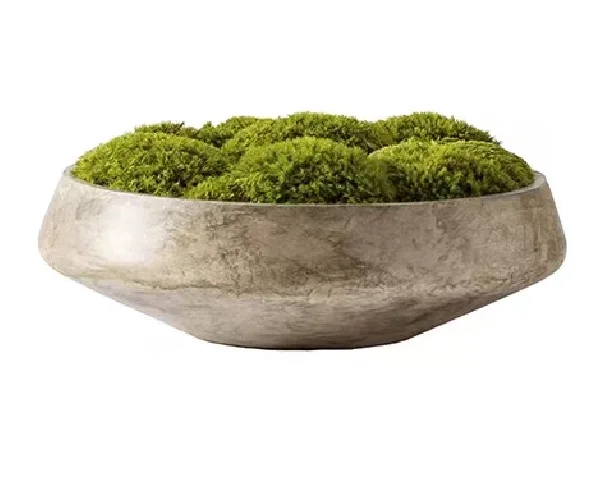 Popular succulent pots ceramic indoor and outdoor use for moss mound