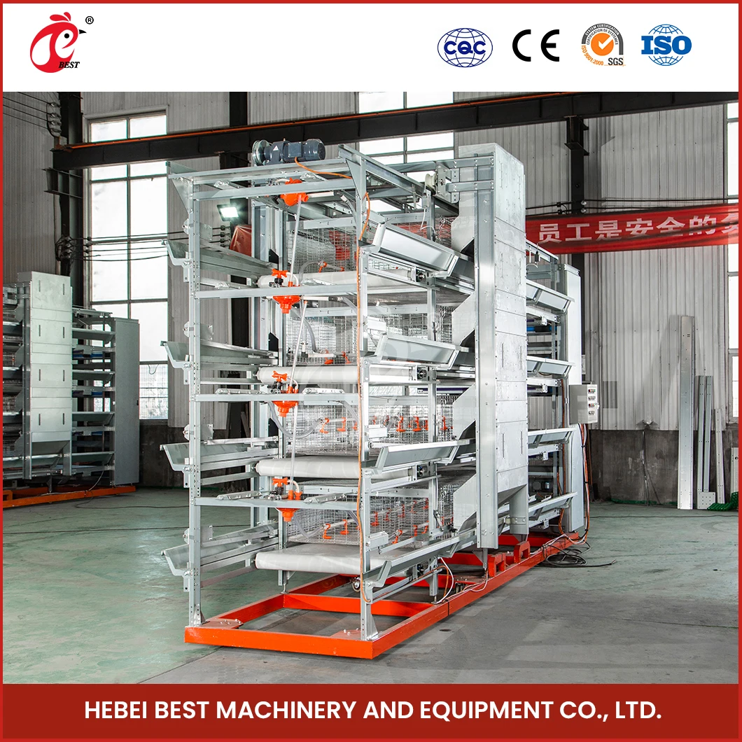 China Cheap Chicken Coops H Frame Automatic Boriler Cages Supplier Custom Clean And Hygienic Broiler House