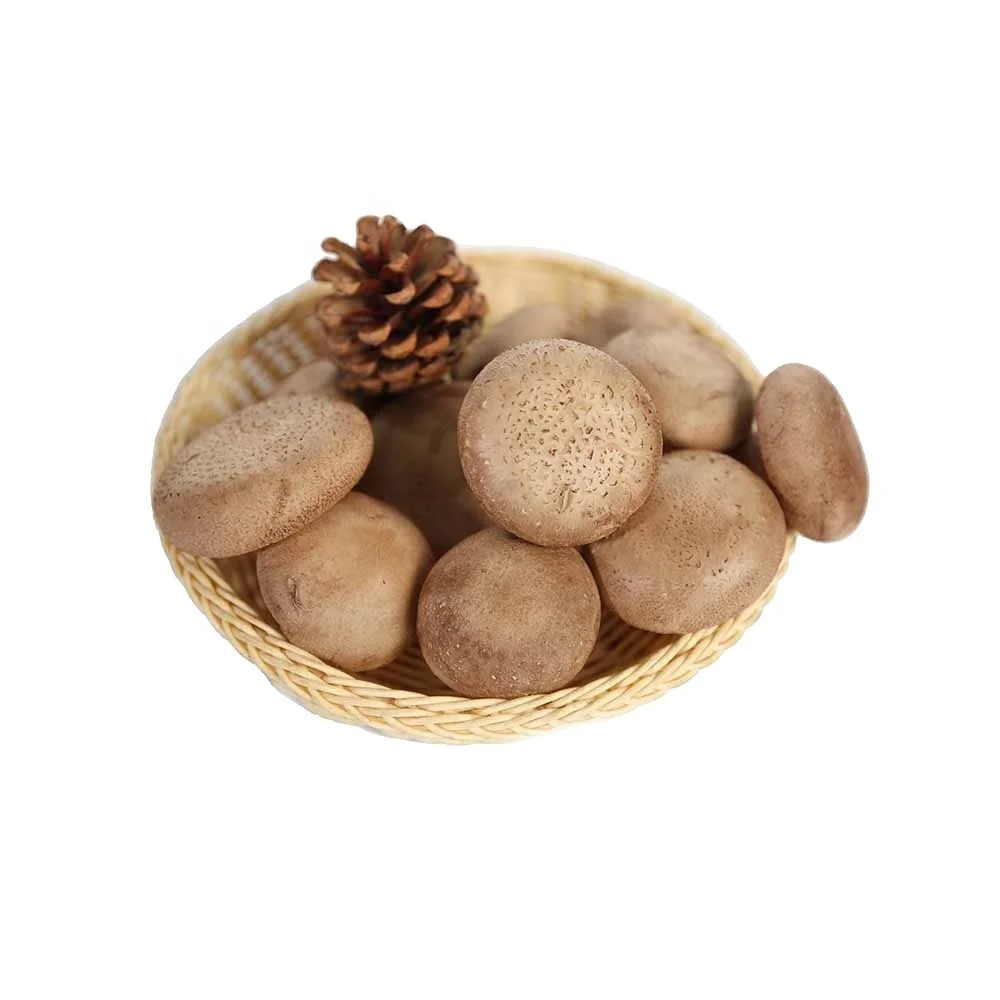 Qihe Shiitake грибовидный спагель, грибовидный спагель