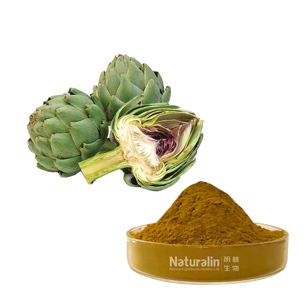 Экстракт артишока высокого качества Cynara Scolymus L 5% Cynarin порошок экстракта