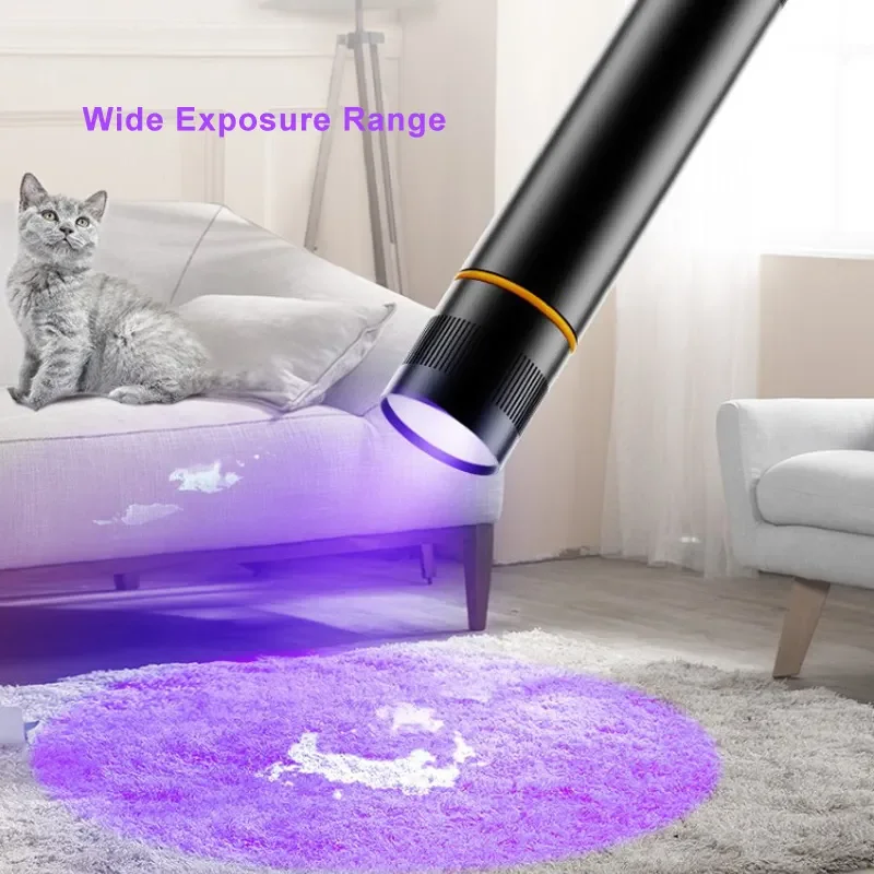Black Filter AA Battery Powered Small 365nm UV Lights Portable Mini Black Light Flashlight Detector Ultraviolet Flashlight
