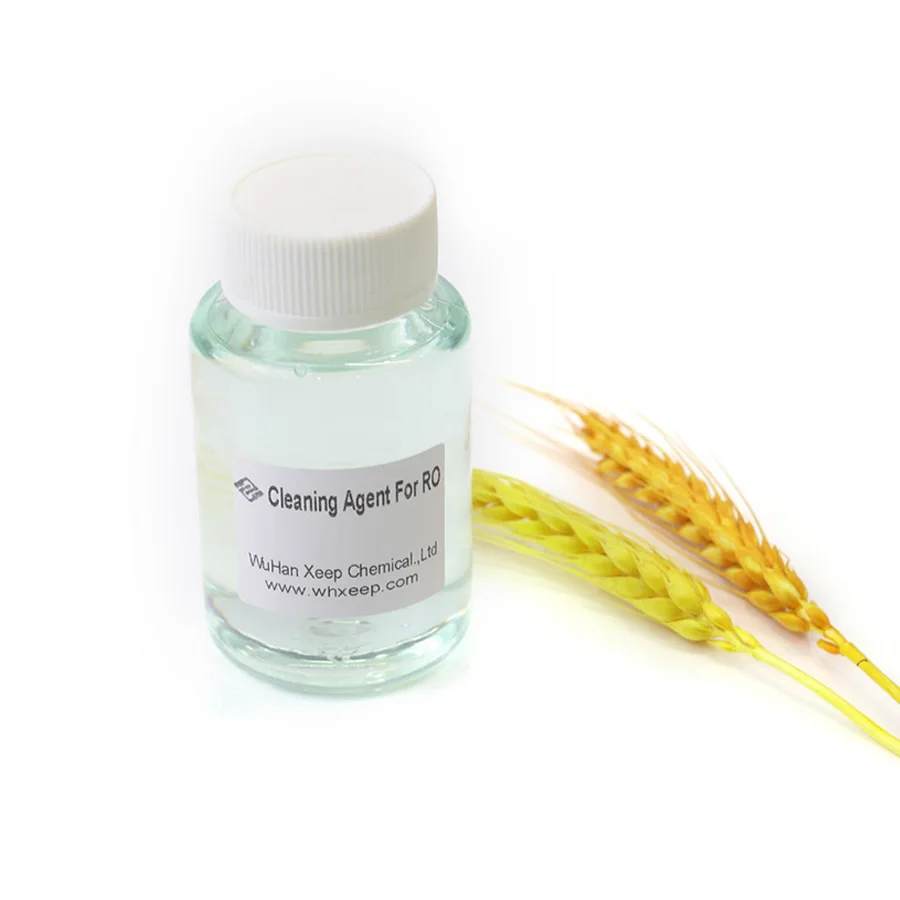 Acid Scale Inhibitor Water Treatment Chemical Agent For RO System