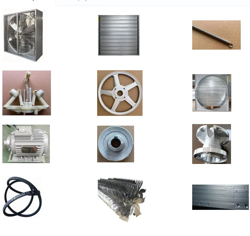 Negative Pressure Exhaust Ventilation Fan for Poultry Farm House