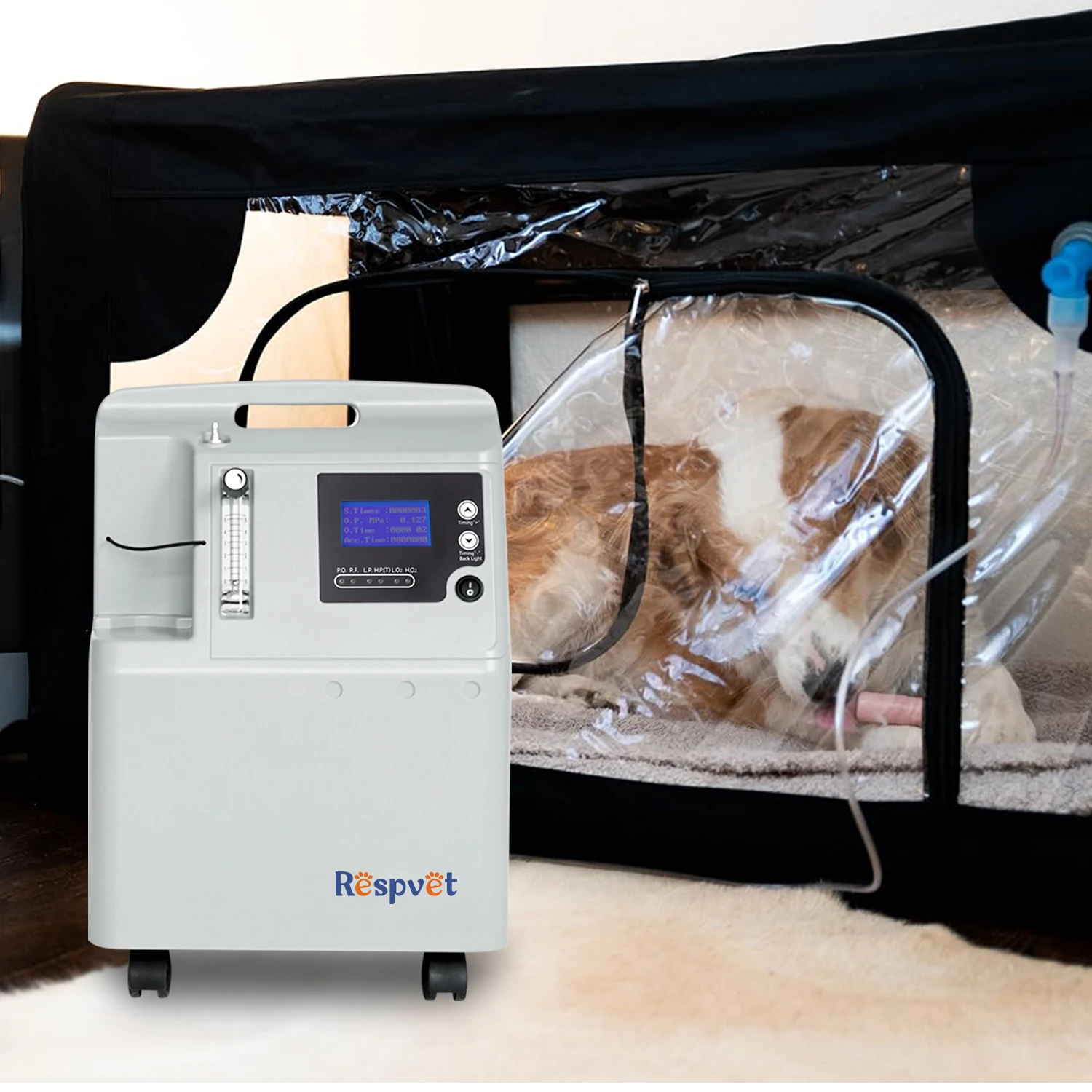 Pet Clinic Oxygen Therapy 5L Psa Veterinary Medical Oxygen Concentrators Vet Oxygen Generator