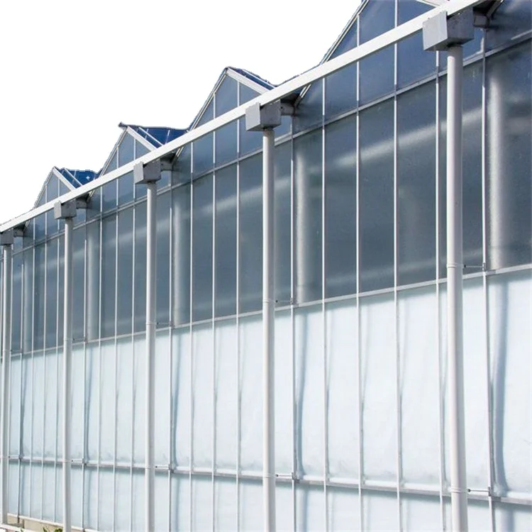 Automatic Glass Greenhouse Strawberry Picking Garden Greenhouse Solar Panel Greenhouse