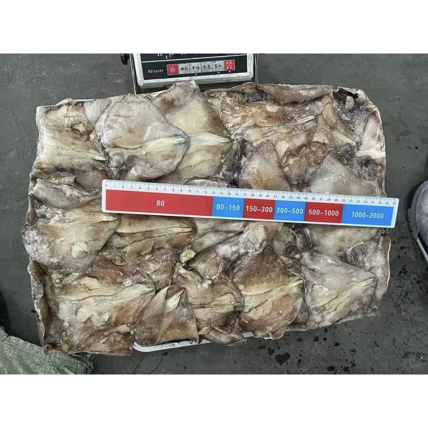 High Quality 300-500g Frozen Giant Squid Ear Squid Wing