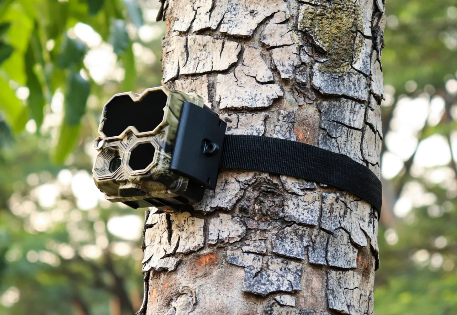 Мини-охотничья камера 4K 32MP 60fps