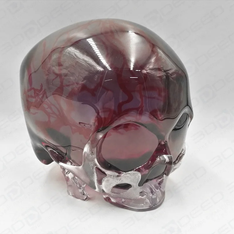 3d print skull polyjet clear transparent full color medical educational application smooth resin good quality