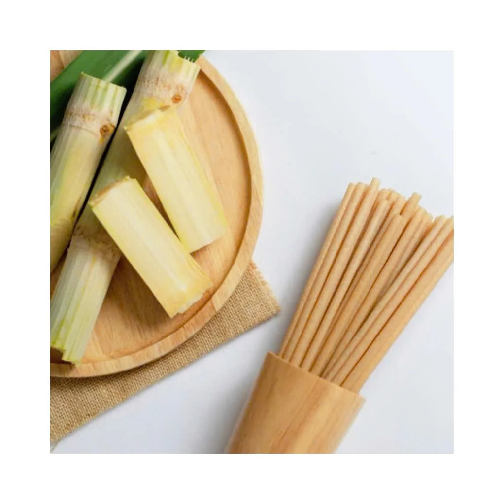 100% Biodegradable Sugarcane Straws With PLA Free - Disposable Straws At Vigi Farm From Vietnam