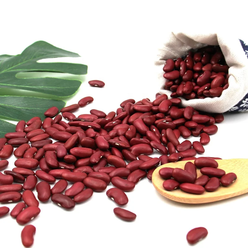 Высококачественная сушеная фасоль для продажи