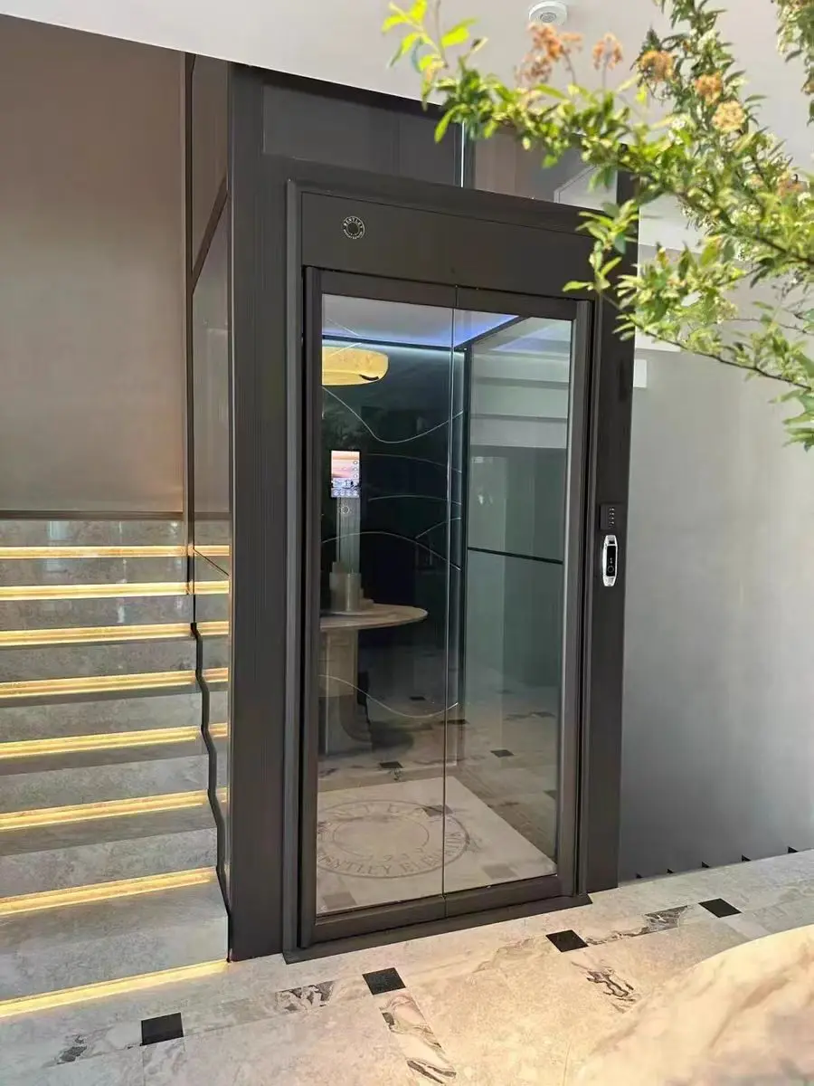 Residential Elevator for Apartment Outdoor Factory Hotel Contemporary Passenger Supermarket