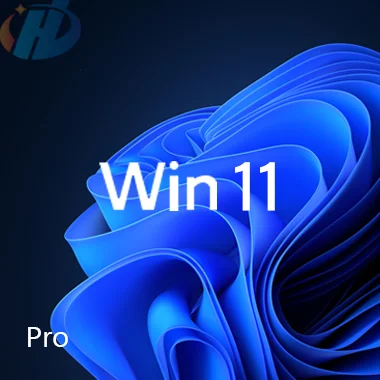 Win 11 Professional Win 11 Pro Coa Sticker oem Key 12 Months Guaranteed