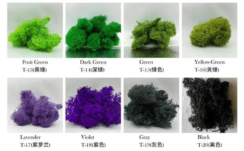 Reindeer Moss Wall Decoration Preserved Floral Decorative Moss Eternal Natural Preserved Moss