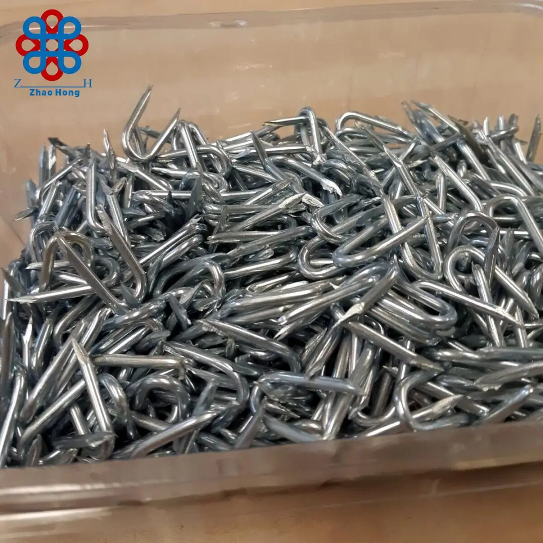U Shaped Fence Staple/Galvanized U Shape Nails/U Type Staple Nails used for wooden post electric fence barbed wire fixing