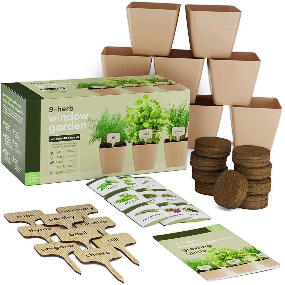
Hot sale non gmo herb plant DIY natural bonsai herb garden starter kit for indoor decoration 