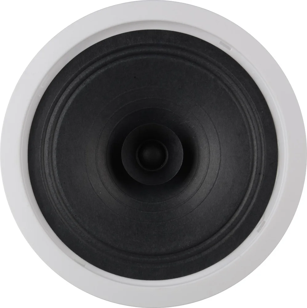 HSR109-8T 100V 15W 8 Inch Full Range Speaker
