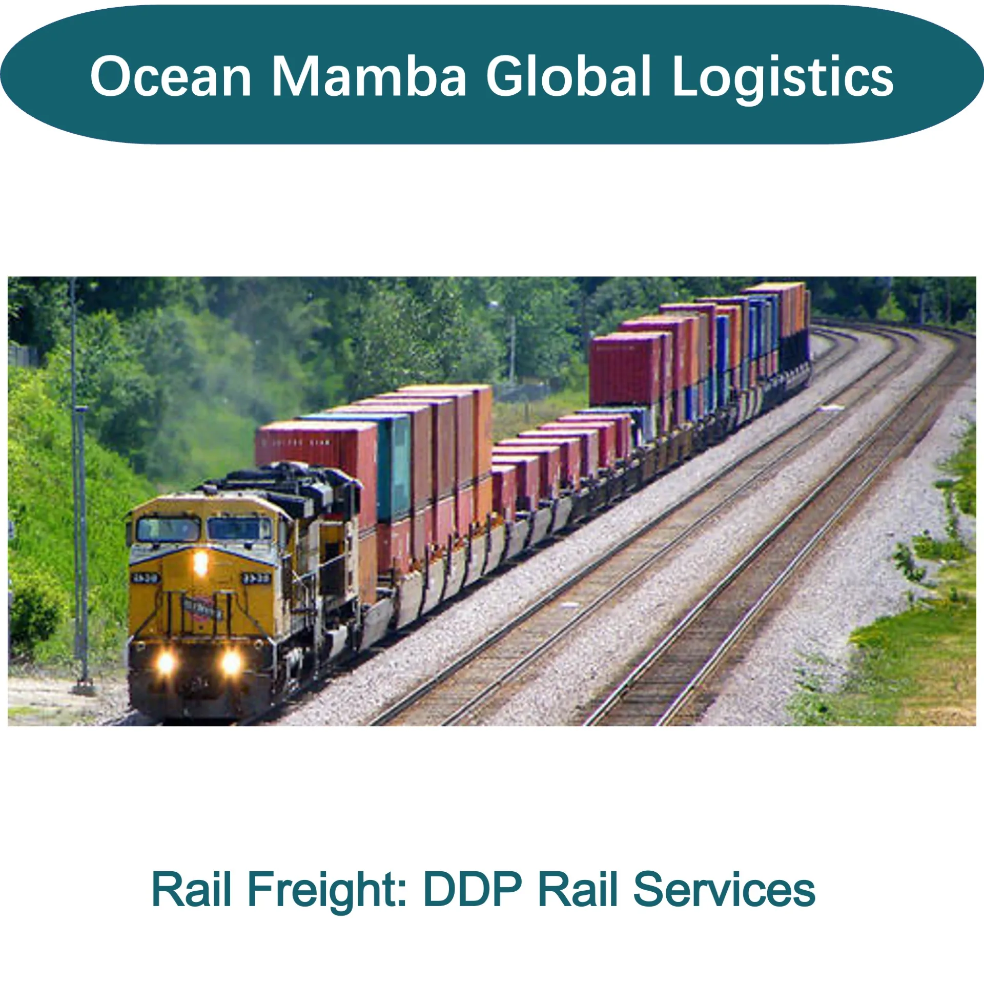 DDP Sea Freight Forwarder Fast Transportation With Truck/UPS Pick Up Service Best Price From China to USA