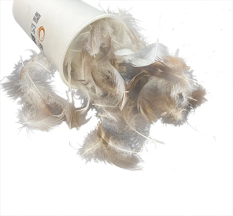 Wholesale Factory Bulk Natural Grey 2-4cm Duck Feather
