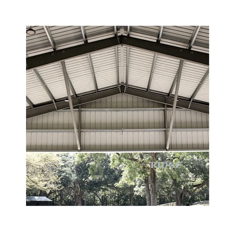 Best Circular Complete Steel Frames Structure Flat Gas Station Roof Design Construction Building with Steel House