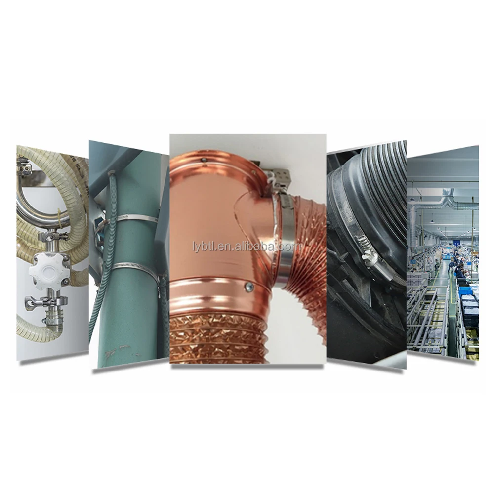 stainless steel clamps.jpg