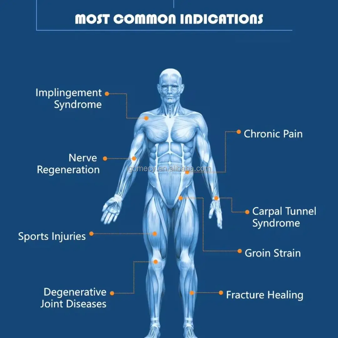 Pmst-Physio-Plus-Sports-injury-recovery-Magnetic-Device-Pemt-Neo-Super-Transduction-Physio-Magneto-Machine