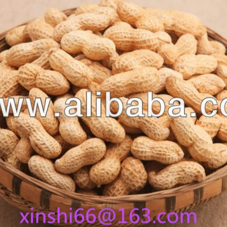 Жареный арахис в скорлупе