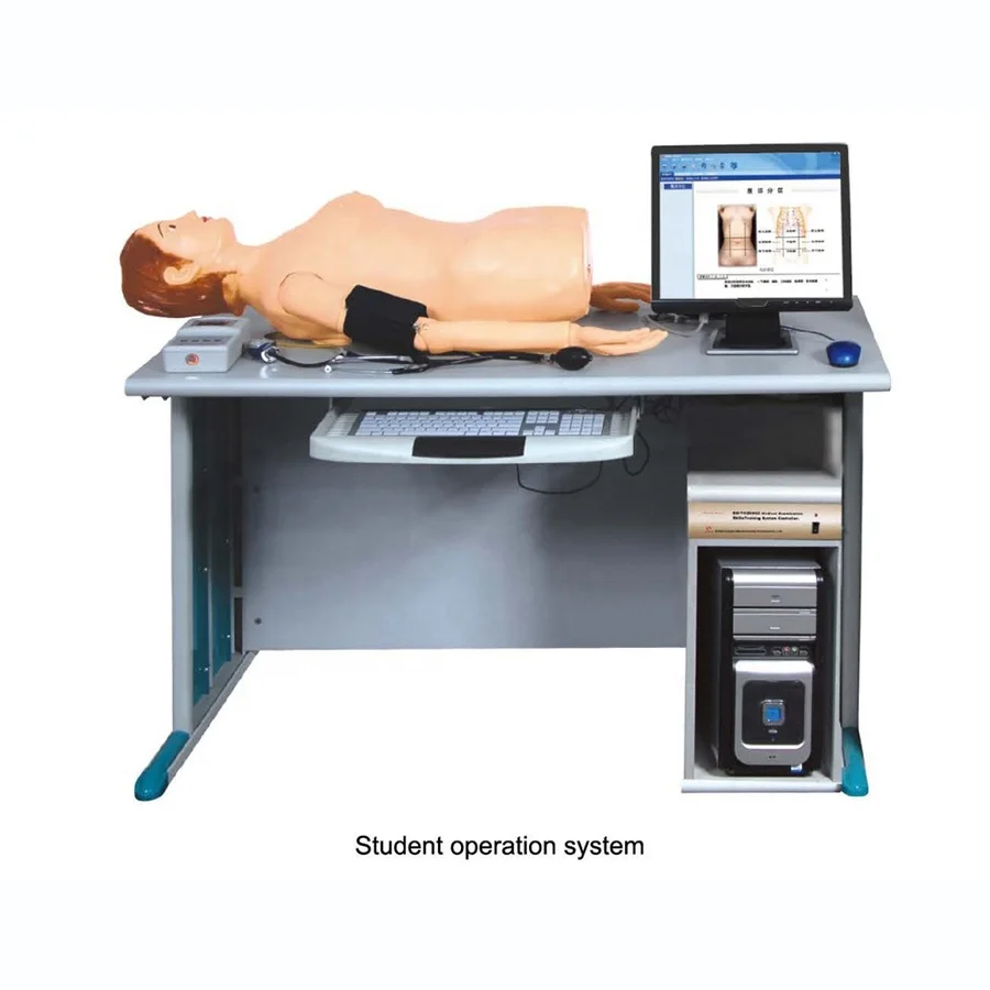 Online Palpation Auscultation Training System,  Abdominal  Palpation and Auscultation Teaching Simulator,BP Measurement Model