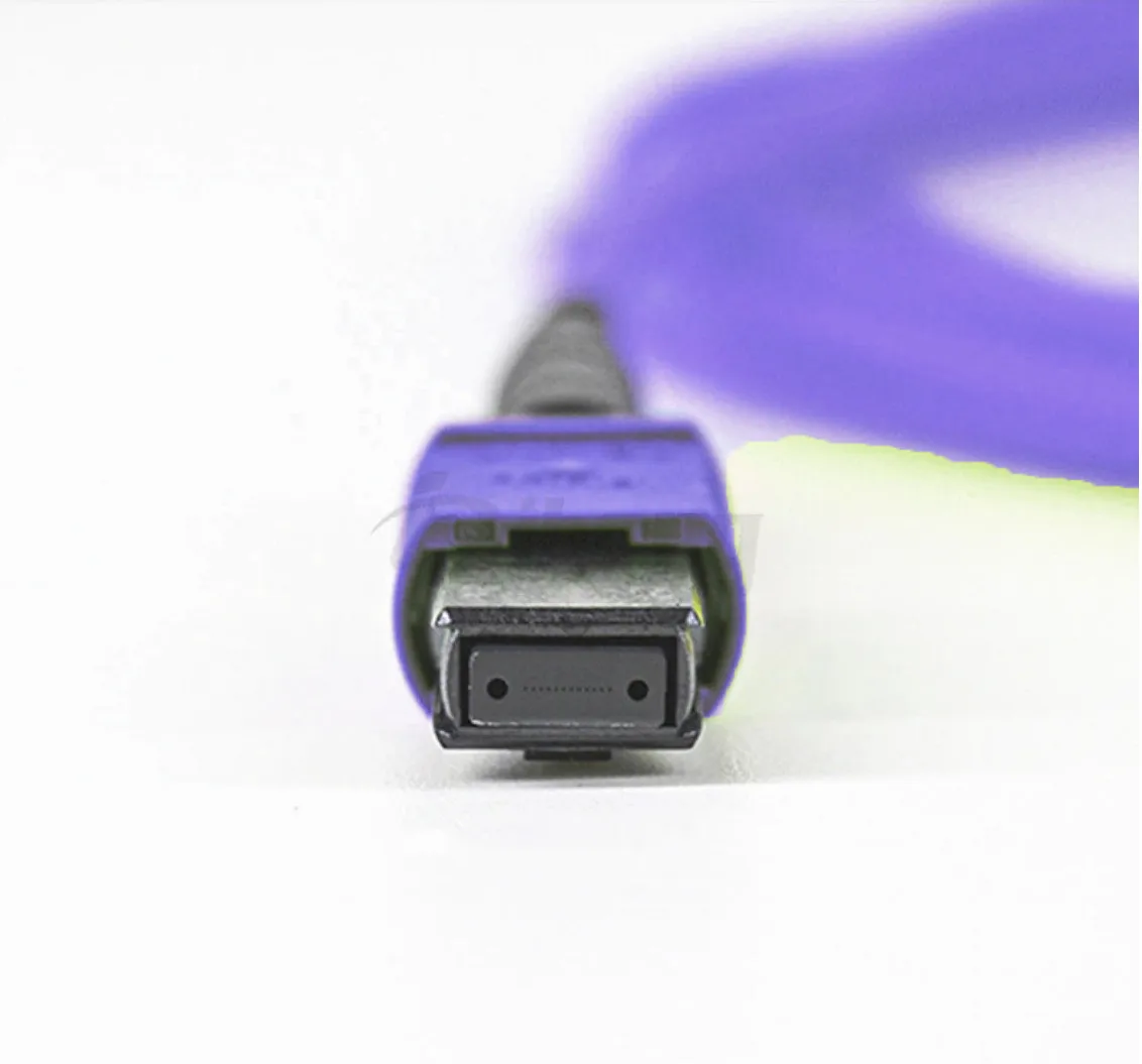 Factory Price High Density 100G MPO/MTP 16cores Multimode OM4 MPO/MTP Trunk Cable